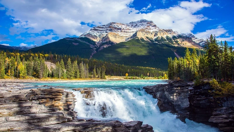 Image of Athabasca Falls in Alberta