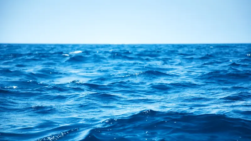 CAM entering decommissioning market