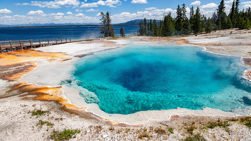 Yellowstone geothermal