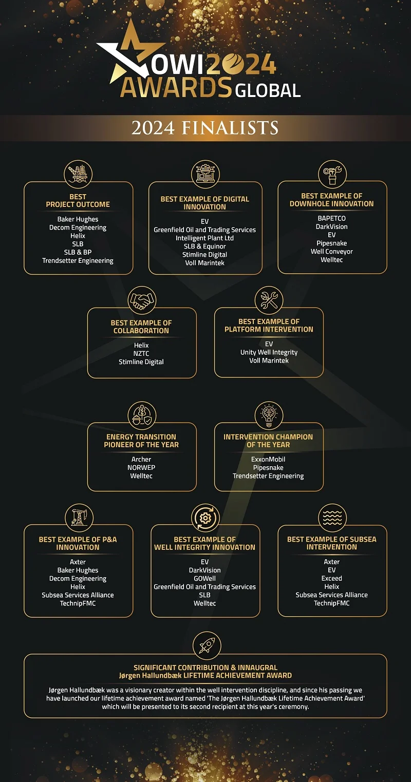 An infographic of the OWI Awards 2024 finalists. 