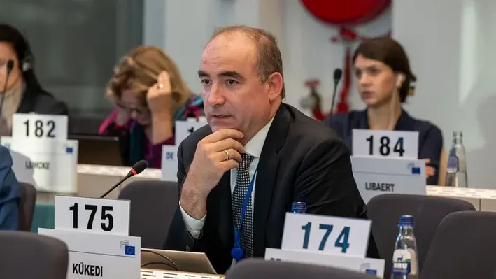 Zsolt Kükedi speaking at the EESC plenary session.
