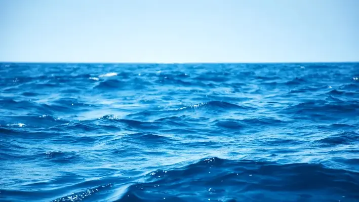 Close up image of the sea