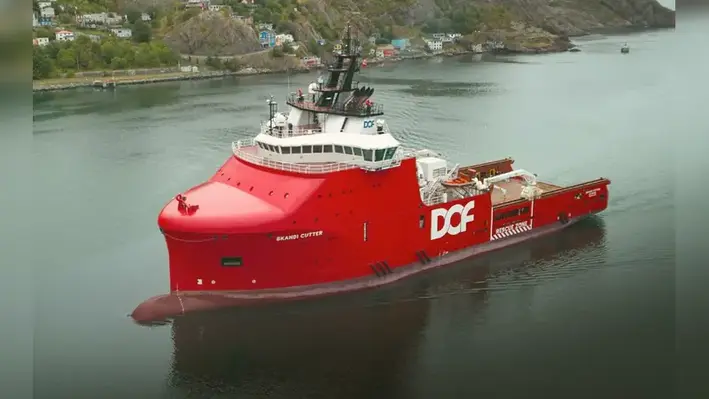 68be9254df23328fa44e89a0 Cutter 01 Web Res 800x450