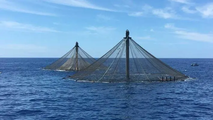 The mooring grid for the SeaStation pens could also host the downlines for oysters and algae. (Image credit: Innovasea)