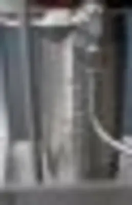Oilenco 3